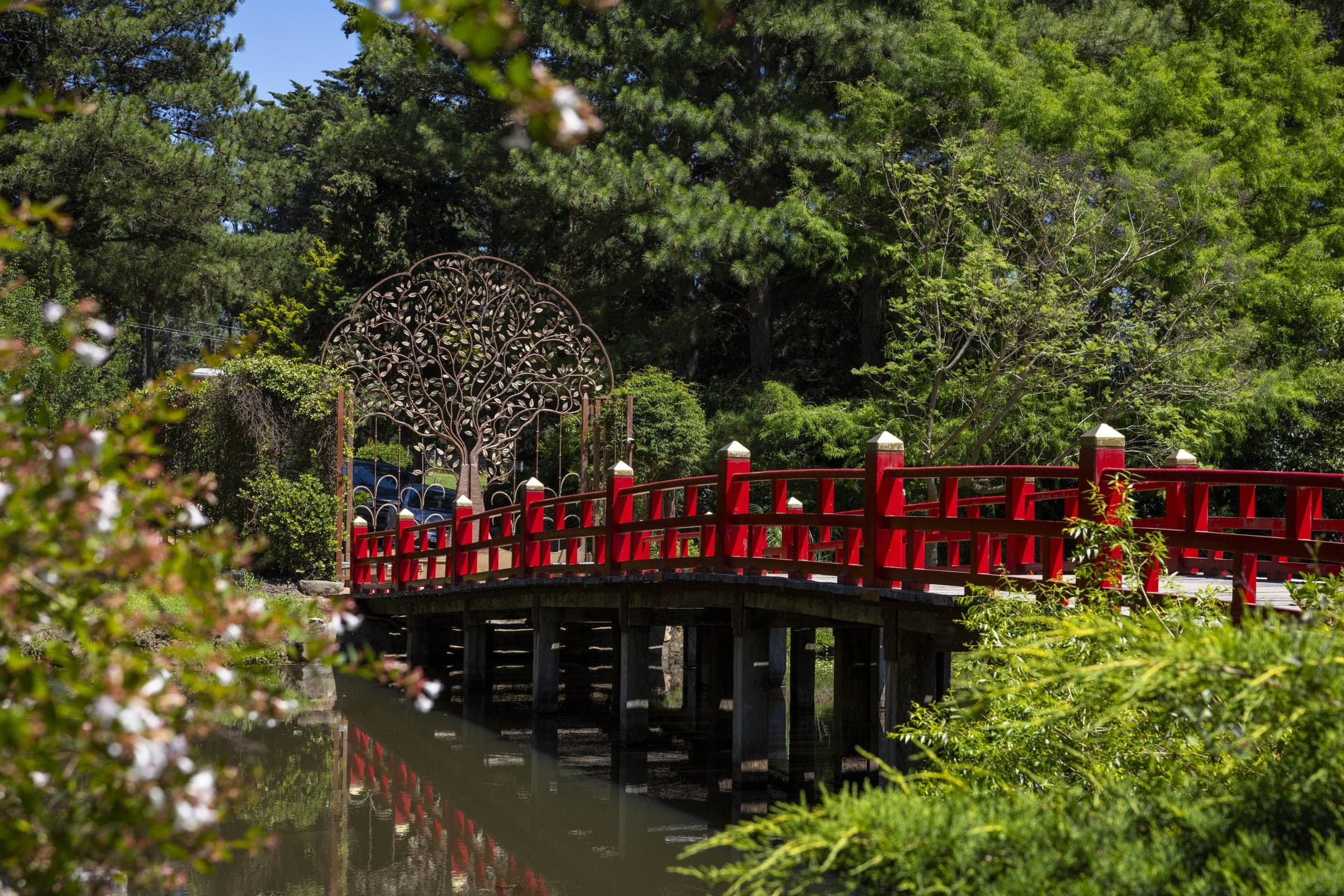 Jardín Japonés: un espacio de contemplación 